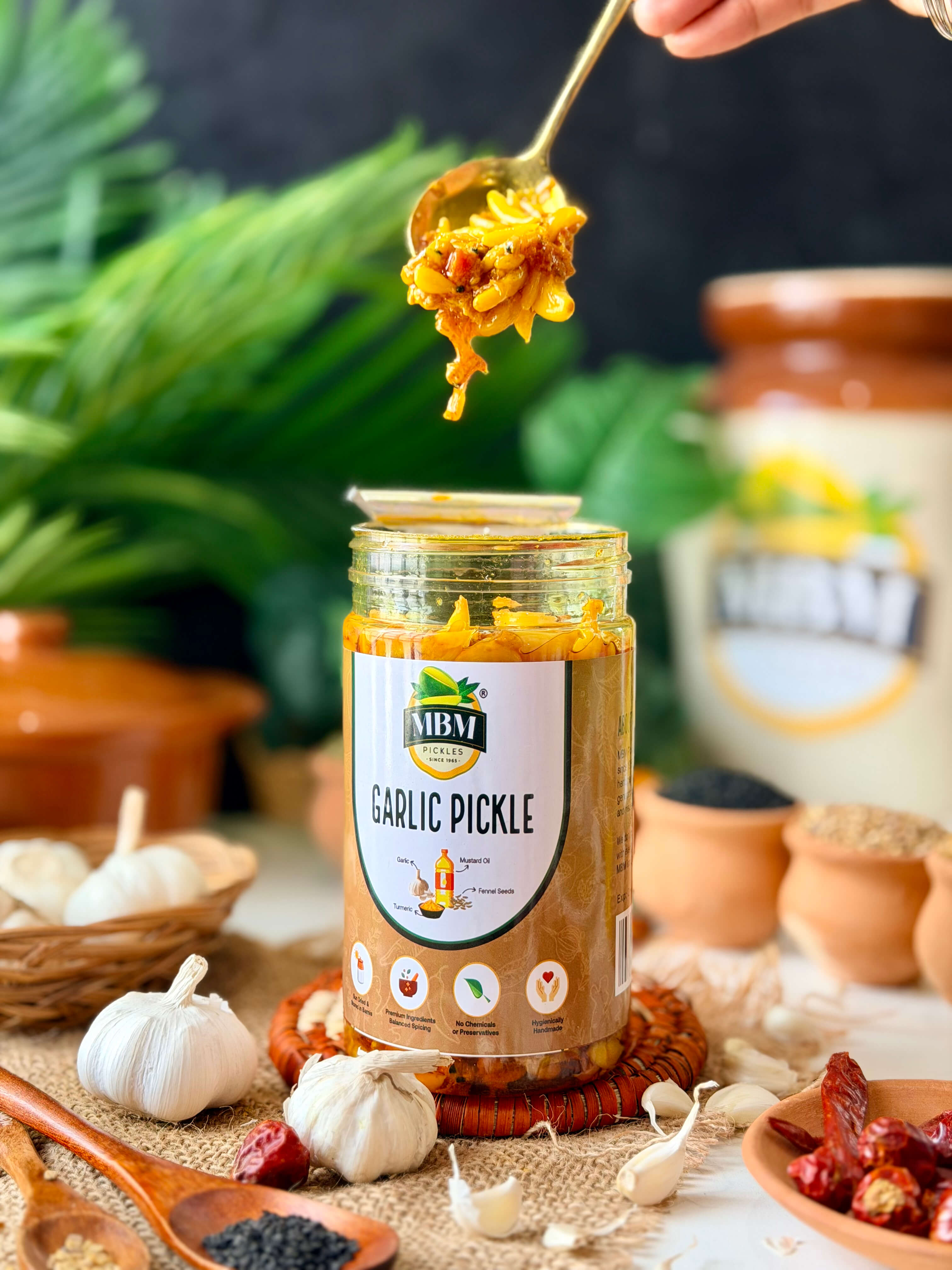 Garlic Pickle لہسن کا اچار